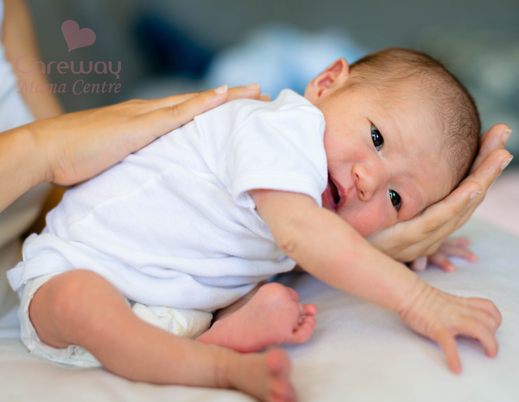 carewaymama_course_details-02 https://www.carewaymama.com/wp-content/uploads/2024/03/carewaymama_course_details-02.jpg